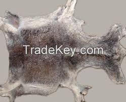 Quality Dry Donkey Hide,Salted Donkey hides,Wet Blue Cow hides and wet salted cow hides available