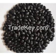 Organic Black Kidney Beans,100% organic Black Kidney beans