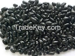 Organic Black Kidney Beans,100% organic Black Kidney beans