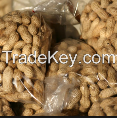 High Quality Raw Peanuts Kernel And Raw Peanut In Shell For Sale