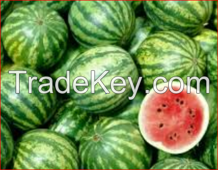 Fresh sweet Water Melons 