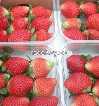 Fresh strawberry