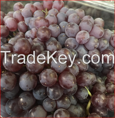 Quality Fresh Seedless Grapes Available in All Colors