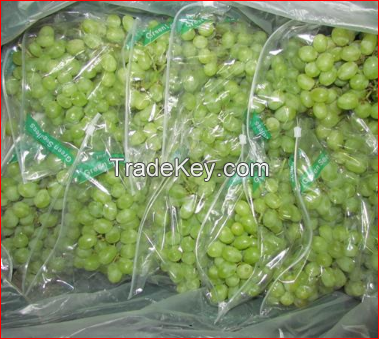 Quality Fresh Seedless Grapes Available in All Colors