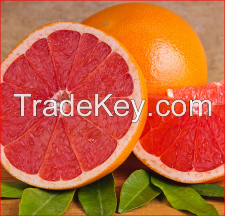 New Crop Fresh Honey Pomelo Fruit grapefruit