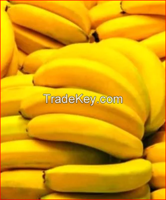 Fresh Green Cavendish Banana