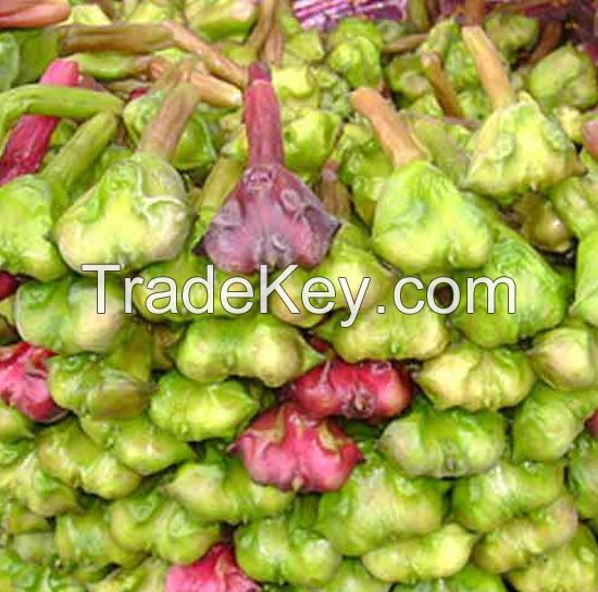 Green Chestnut for sale