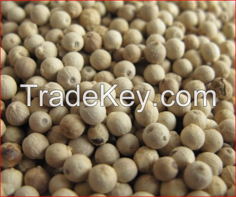 Quality Spices Black and White Pepper 550gl/ 500gl/ Whole Black Pepper