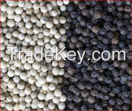 Quality Spices Black and White Pepper 550gl/ 500gl/ Whole Black Pepper