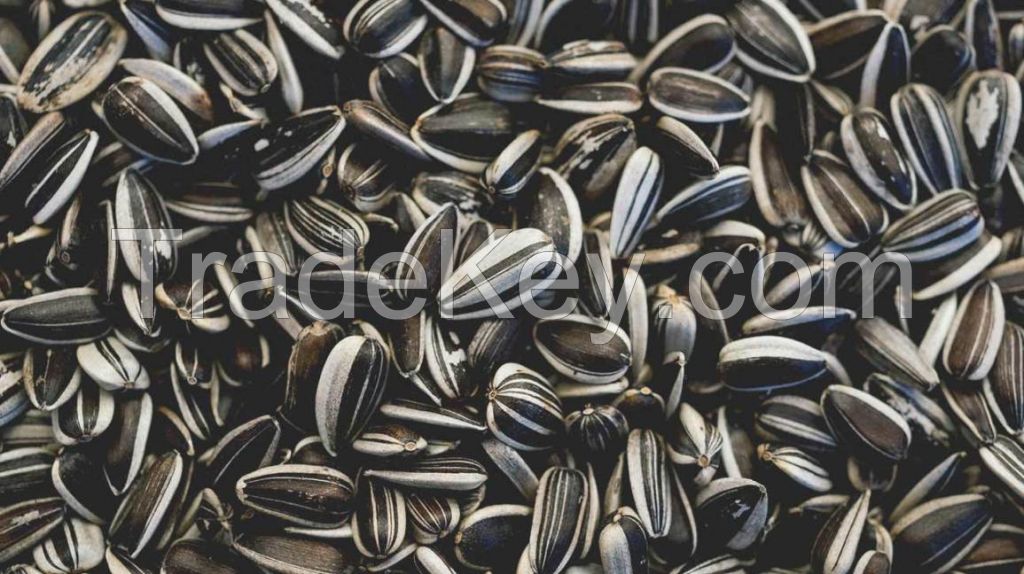 Sunflower Seeds