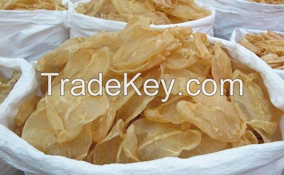 dried fish maw