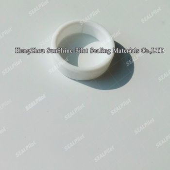 Custom Insulation PTFE Gaskets