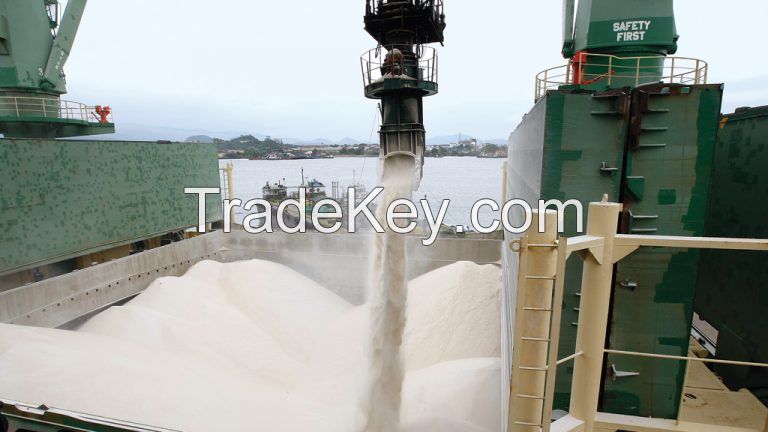 BRAZILIAN SUGAR IC45