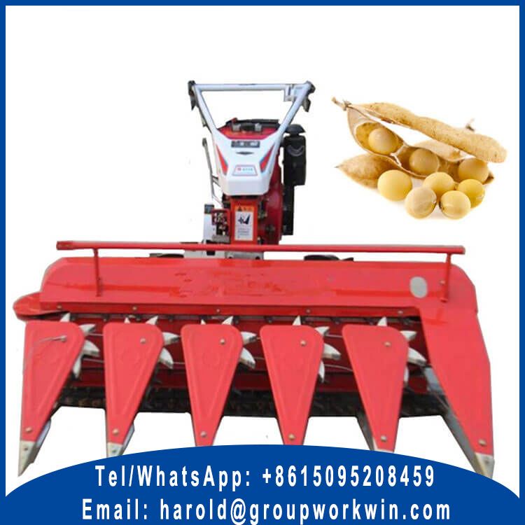 Self Propelled Windrower for Sale