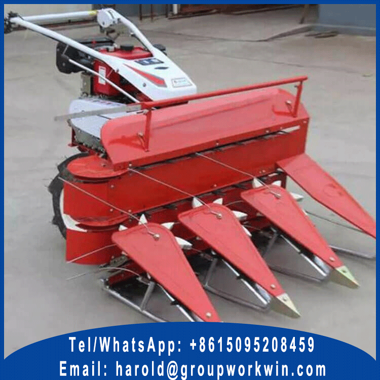 Self Propelled Windrower for Sale