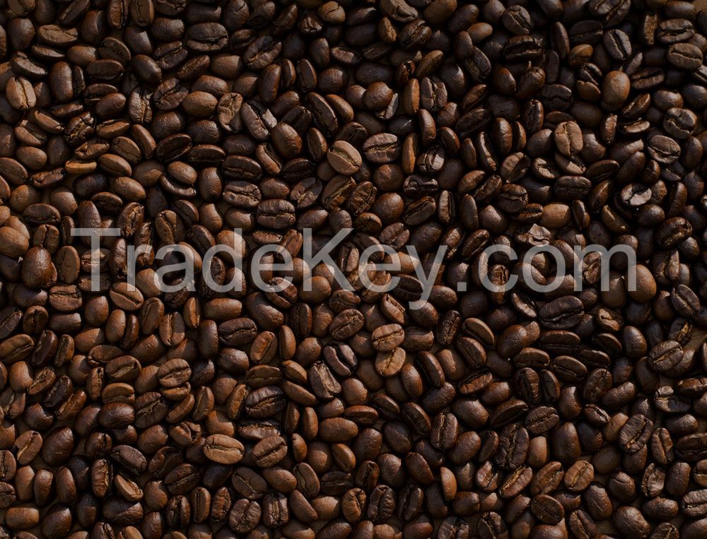 Arabica and Robusta Coffee Beans 