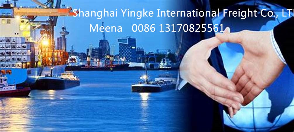 FCL OR LCL FOB Shanghai Shipping Services