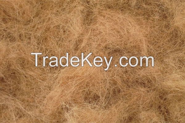 Short Coconut Fiber