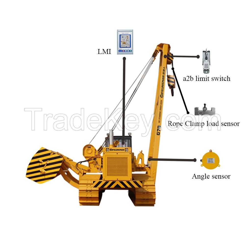 Safe Load Moment Indicators Installed On Side Booms