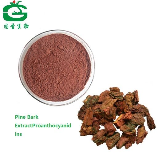 Pine Bark Extract 50%-95% proanthocyanidins,30%-95% polyphenols 95% OPC