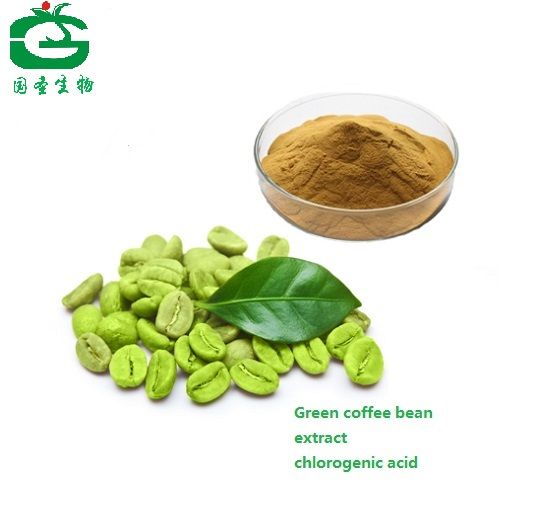 Green coffee bean extract powder/capsule 50 % chlorogenic acid