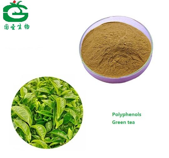 Green tea extract 98% Polyphenols 98% EGCG 80% Catechins