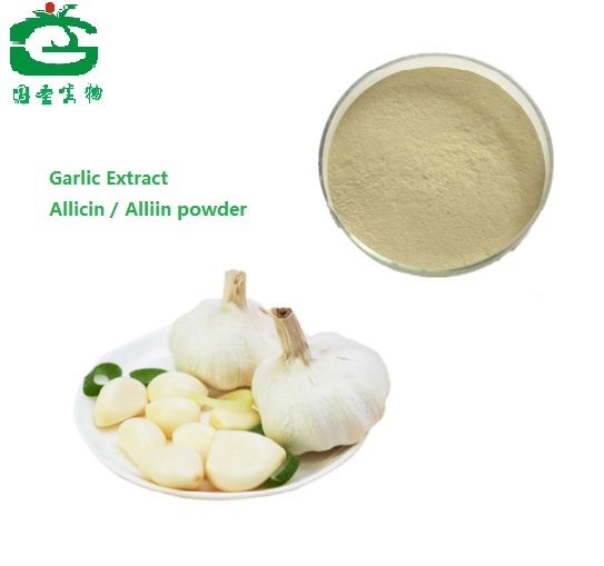  garlic extract allicin powder soluble and 25% 5% allicin 