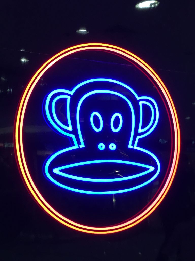 The Neon Light for Shopping Mall/Advertising