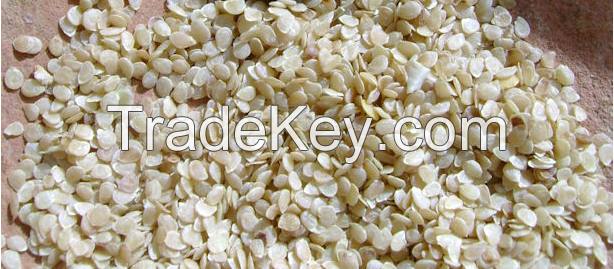 Good quality potato seeds