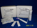 Pregnancy Rapid Test