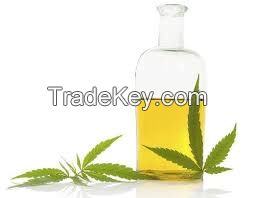 Hemp CBD Oil