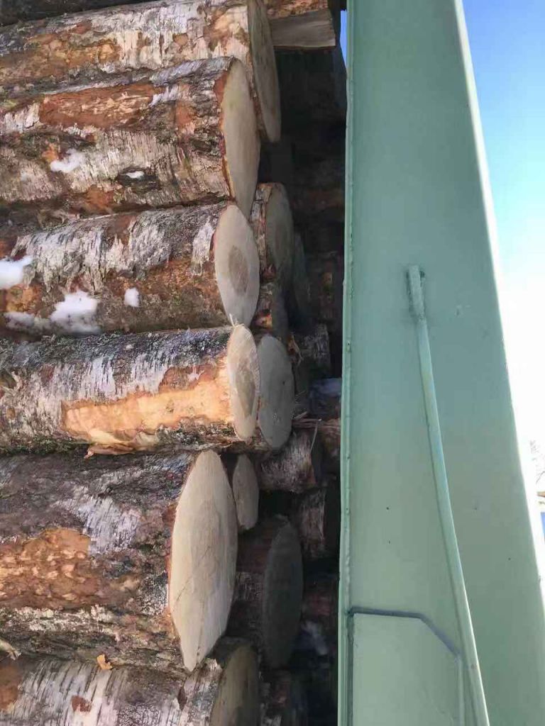 Birch logs from BELARUSSE