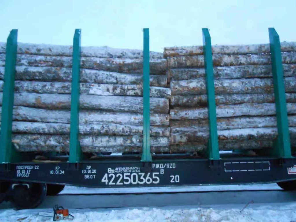 Birch logs from BELARUSSE