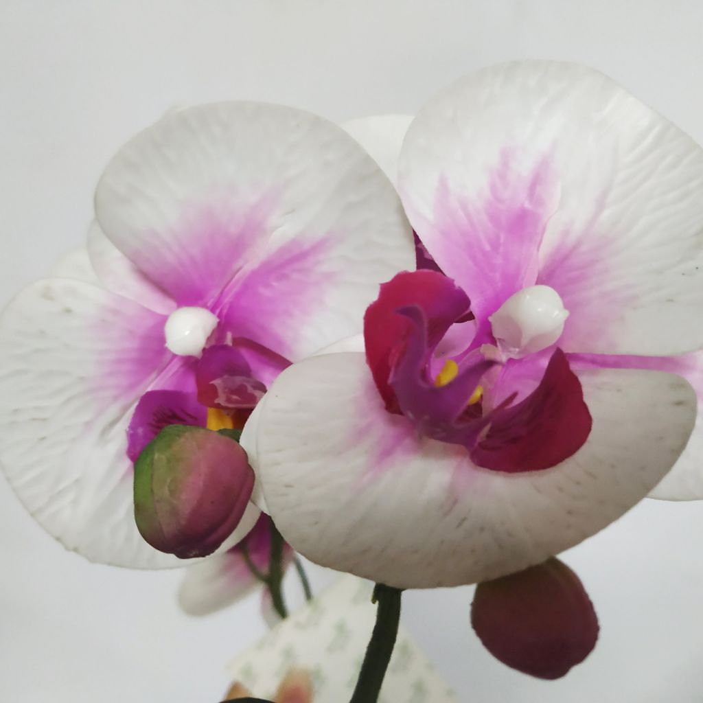 Artificial Phalaenopsis Flower For Wedding Decoration