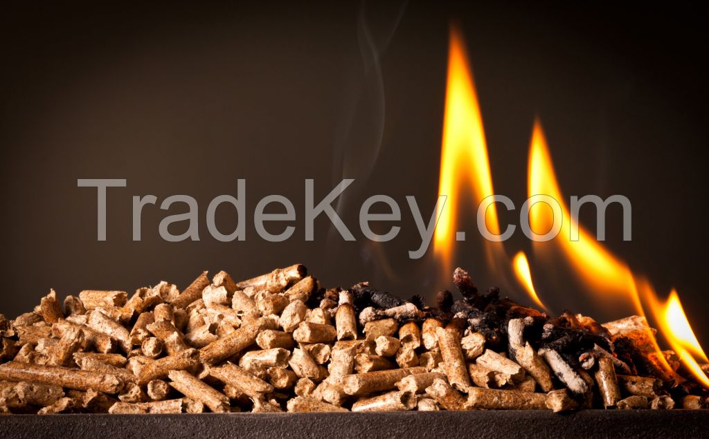 wood briquettes RUF