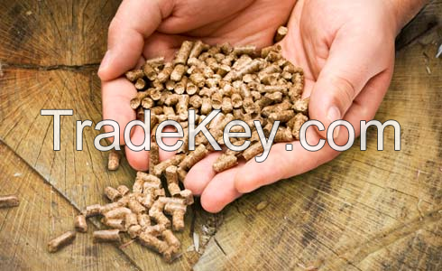 wood briquettes RUF