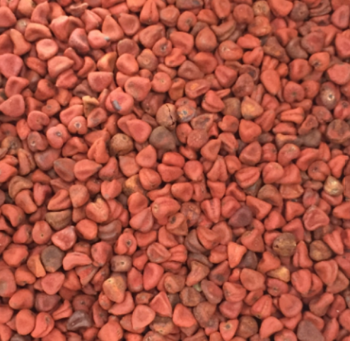 Annatto seed anntto seed, spice, achute