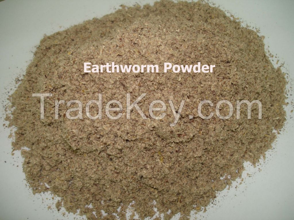 Earthworm Powder