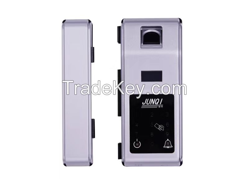 Zinc Intelligent Fingerprint password card Glass Door Lock