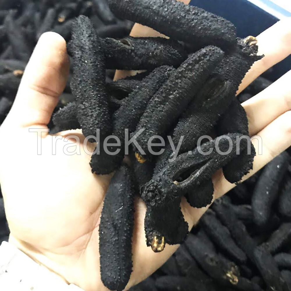 Turkish Sea Cucumber Dried Holothuria Mamata