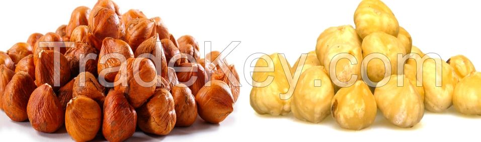 Organic Hazelnuts