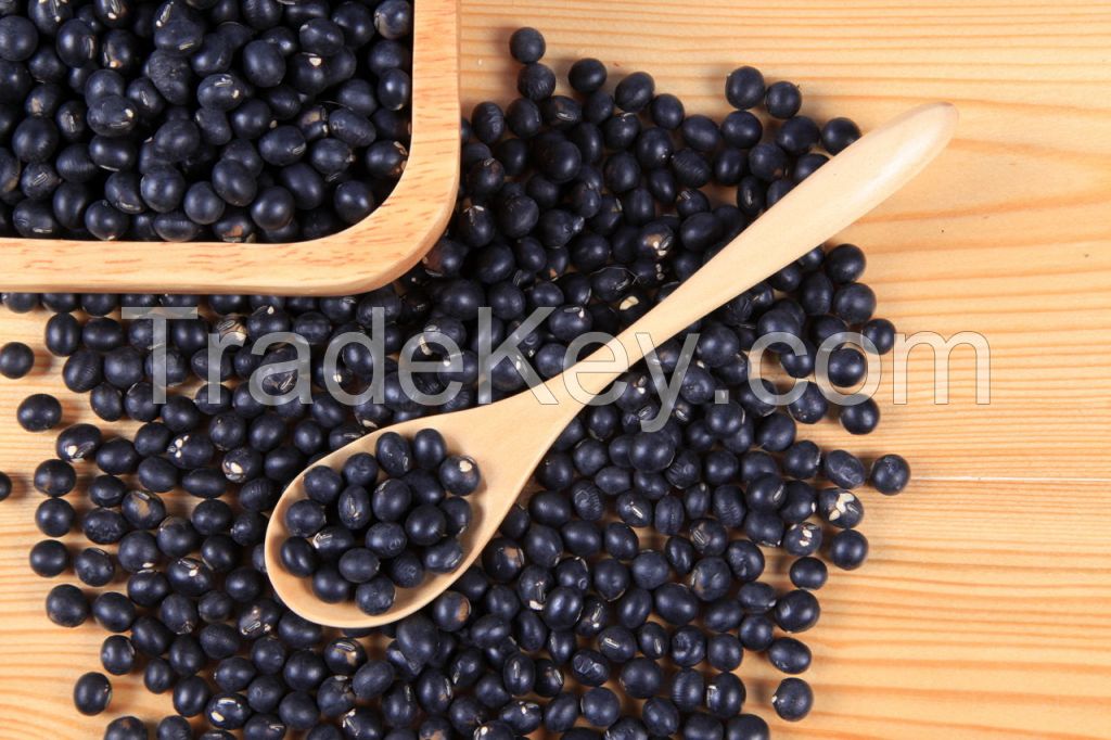 Black Beans, white kidney beans, red kidney beans