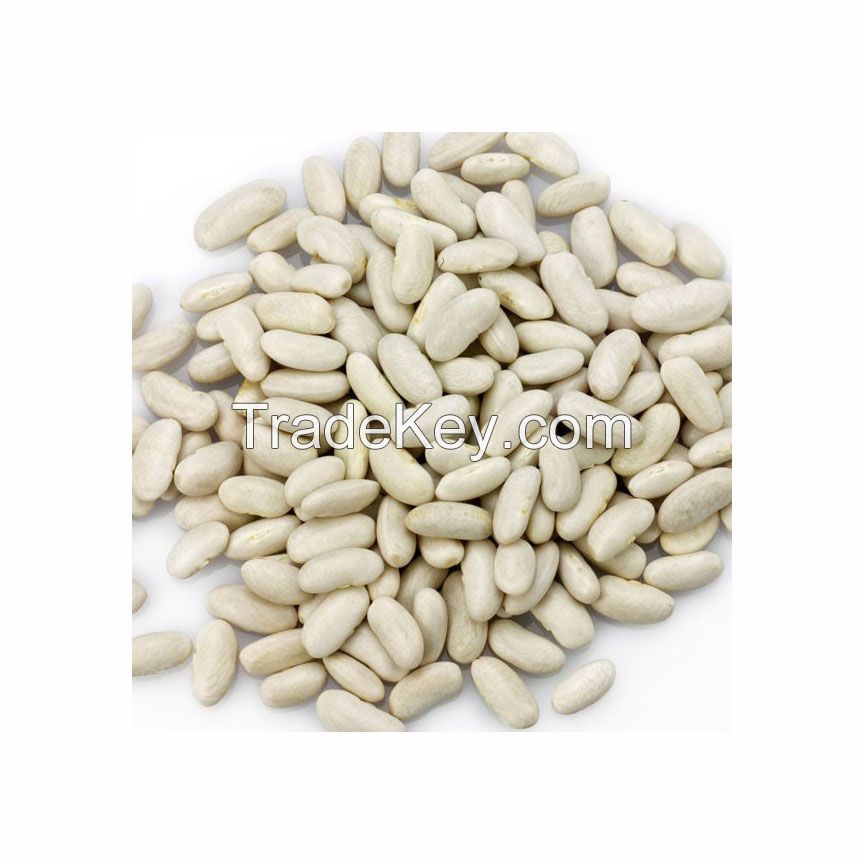 Best Quality Wholesale white kidney Beans For Sale 