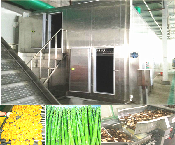 Fruit and vegetable iqf freezer