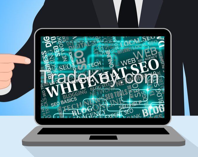 White Hat Web SEO Services Newark Digital Marketing Package  