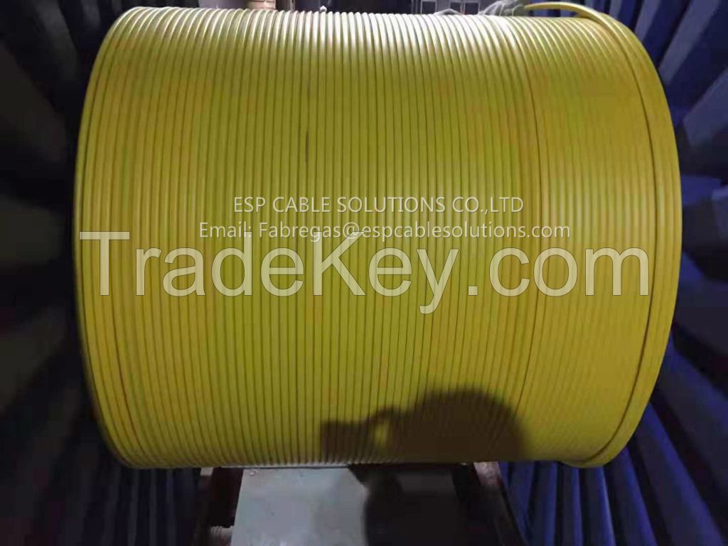 Permanent downhole cable