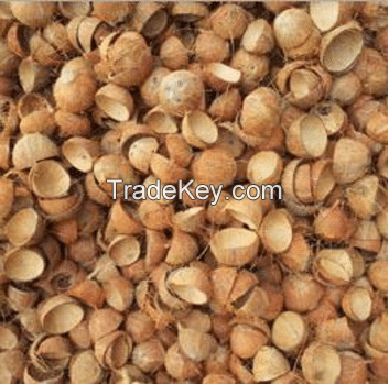 Coconut Shells and Acacia Wood Chips
