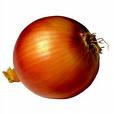 Onion (Turkey's Best Onion)