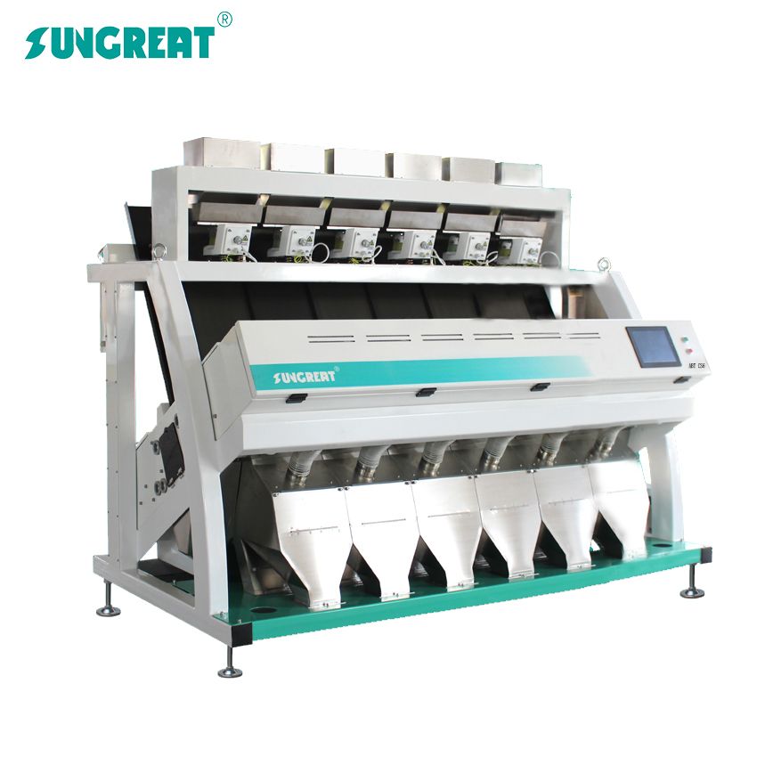 Raisin Sorting Machine