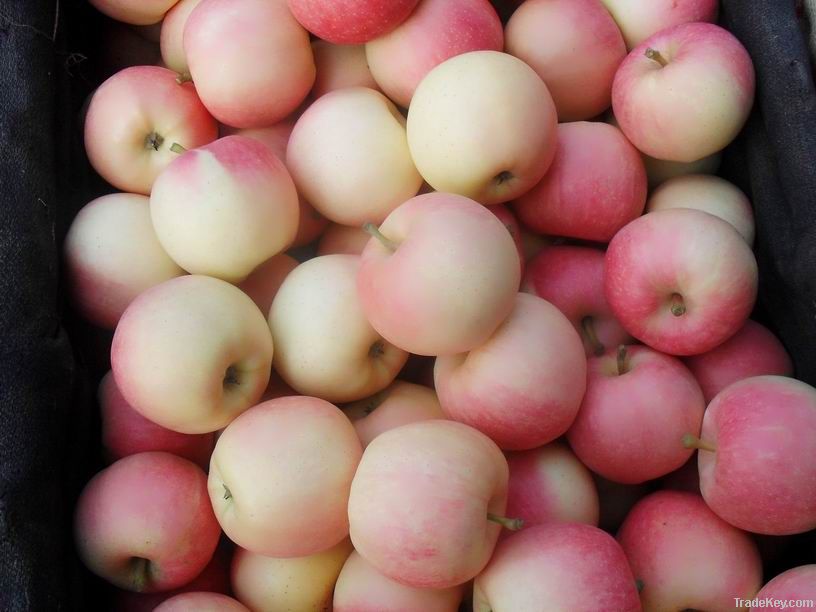 Fresh Gala Apples